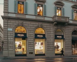 pexels-imagenesclau-36721241